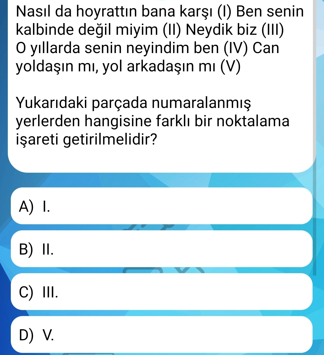 Soru Görseli